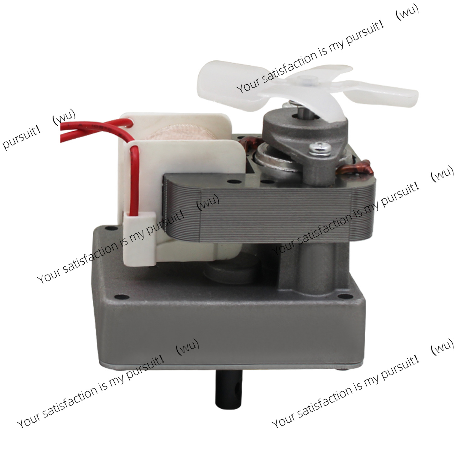 Motor de substituição 220V 2.0 - Electric Smoker Bbq avaliação e preço